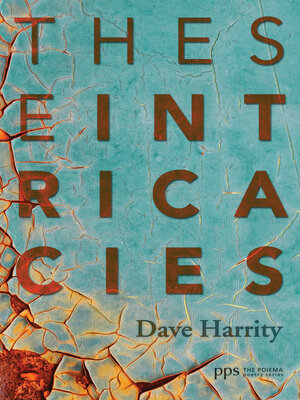 cover image of These Intricacies